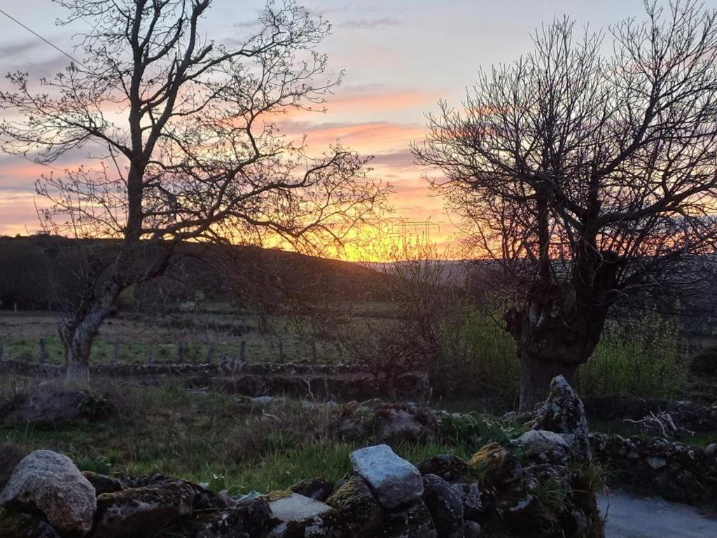 Pension O Corazon Da Ribeira Sacra La Teijeira 外观 照片