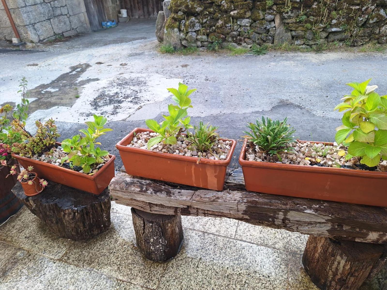 Pension O Corazon Da Ribeira Sacra La Teijeira 外观 照片