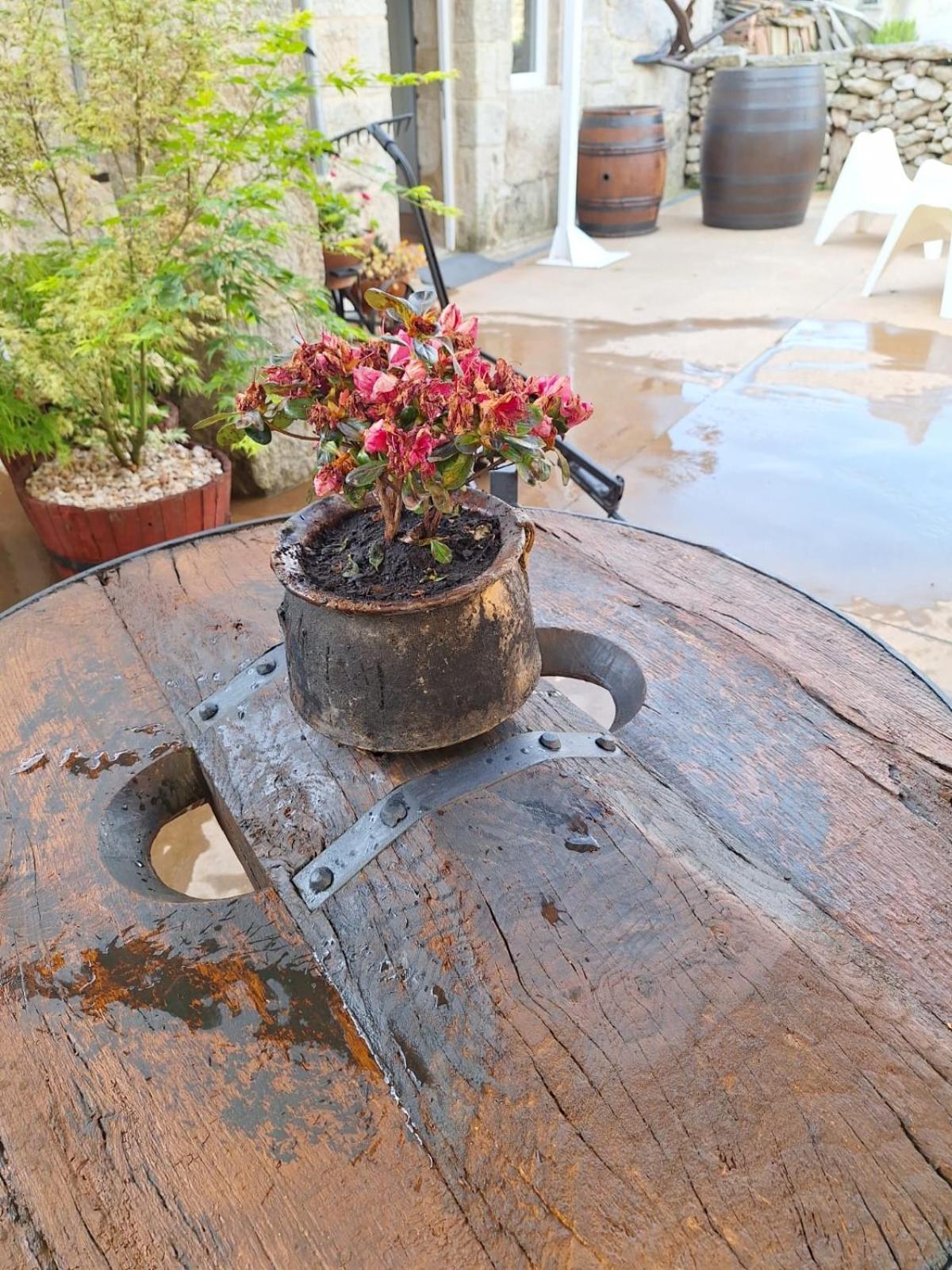 Pension O Corazon Da Ribeira Sacra La Teijeira 外观 照片
