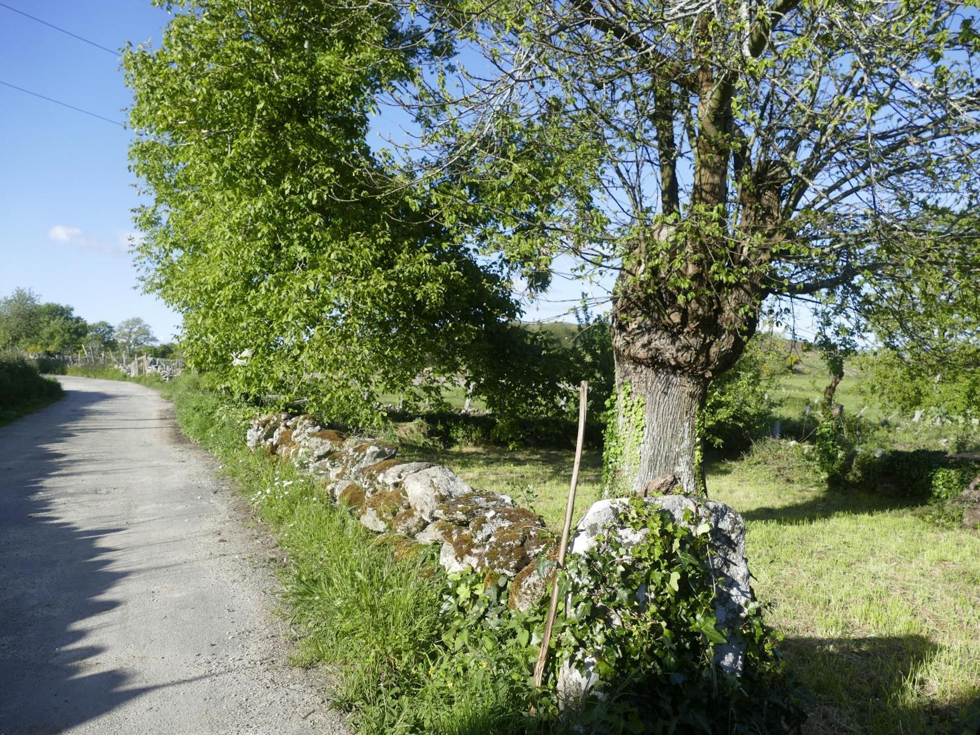 Pension O Corazon Da Ribeira Sacra La Teijeira 外观 照片