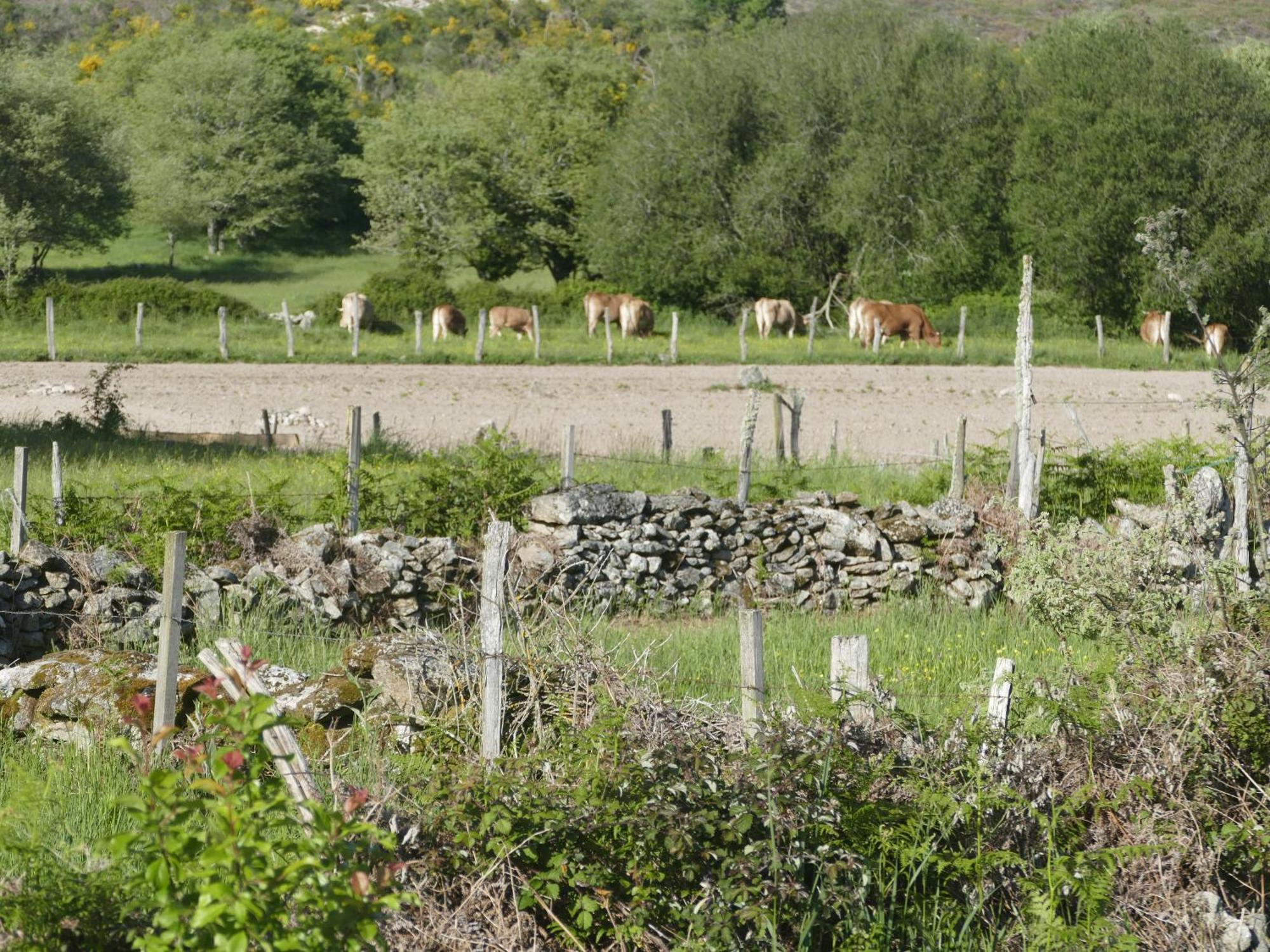 Pension O Corazon Da Ribeira Sacra La Teijeira 外观 照片